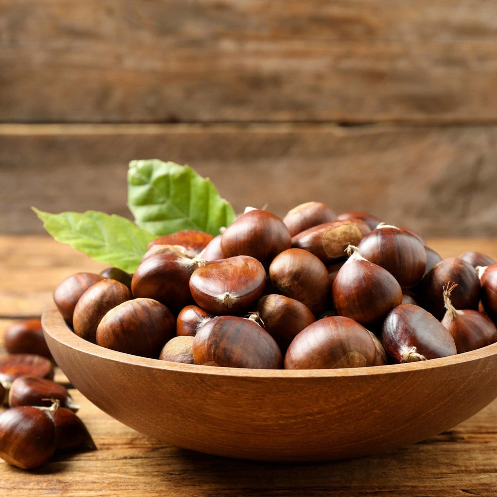 Chinese Chestnut Tree - Image 4