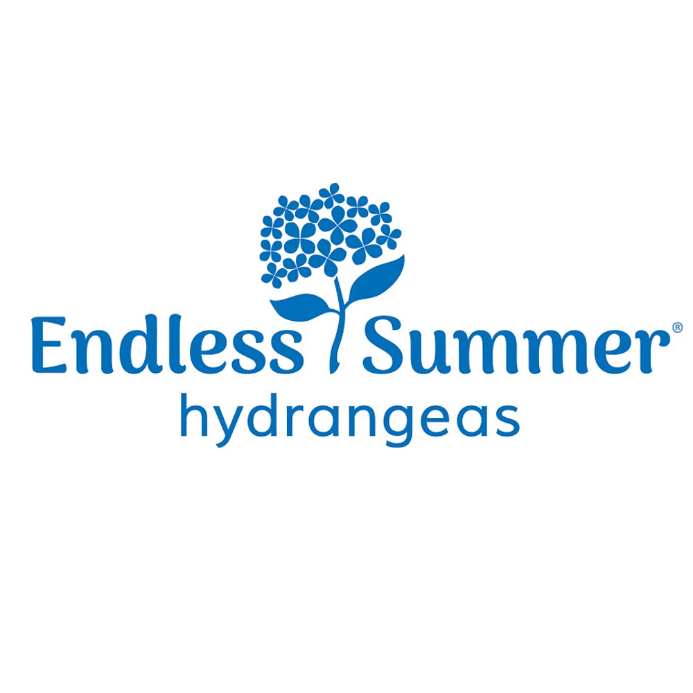 Endless Summer® Summer Crush® Hydrangea - Image 7