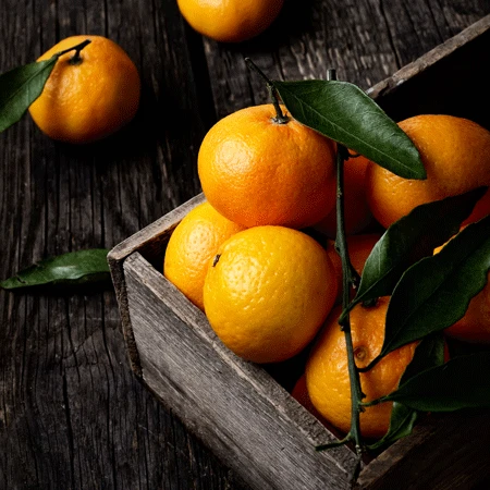 Murcott Honey Mandarin Tree - Image 2