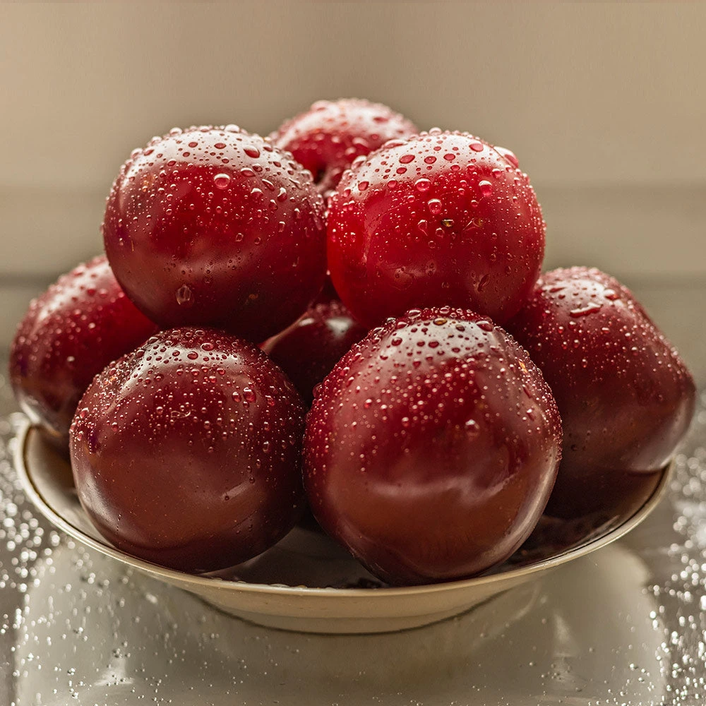 Satsuma Plum Tree - Image 4